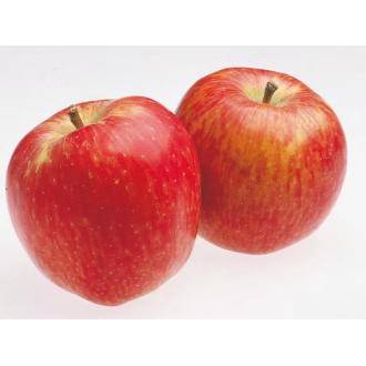 Omena Ambrosia kalorit ja ravintosisältö - 39 kcal