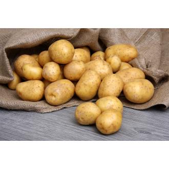 Peruna kiinteä Suomi kalorit ja ravintosisältö - 75 kcal
