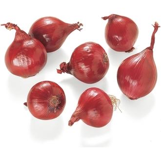 H&H Tuominen Punasipuli kalorit ja ravintosisältö