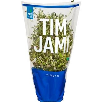 Kotimaista suomalainen timjami ruukussa