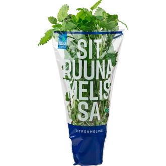 Kotimaista suomalainen sitruunamelissa ruukussa