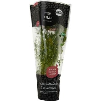 Tilli Luomu