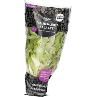 Tammenlehtis.  Luomu kalorit ja ravintosisältö - 23 kcal