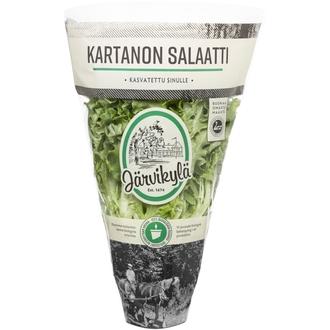 Järvikylän Kartanon salaatti Suomi kalorit ja ravintosisältö