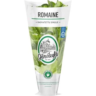 Järvikylän Romainesalaatti Suomi kalorit ja ravintosisältö