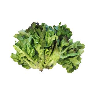 Lindroos Tammenlehtiruukku 115g 1lk Suomi kalorit ja ravintosisältö - 0 kcal
